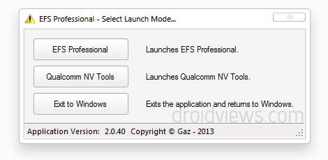 EFS Professional