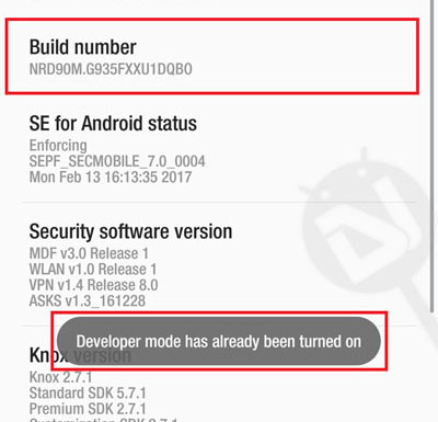 enable developer options
