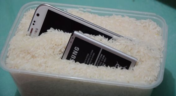 wet-phne-in-rice