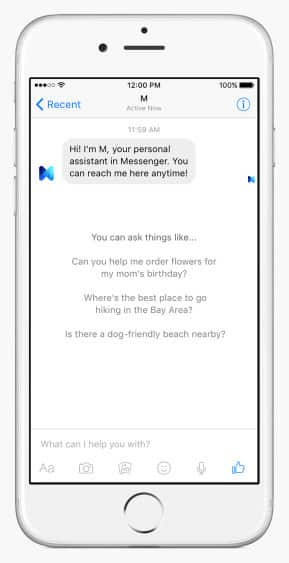 Facebook-M1