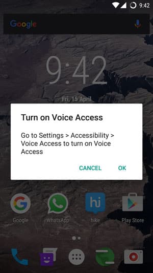 voice-acess-4