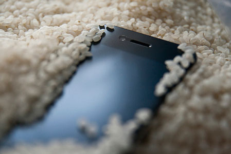 phone-in-rice