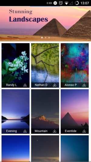 dolphin browser themes