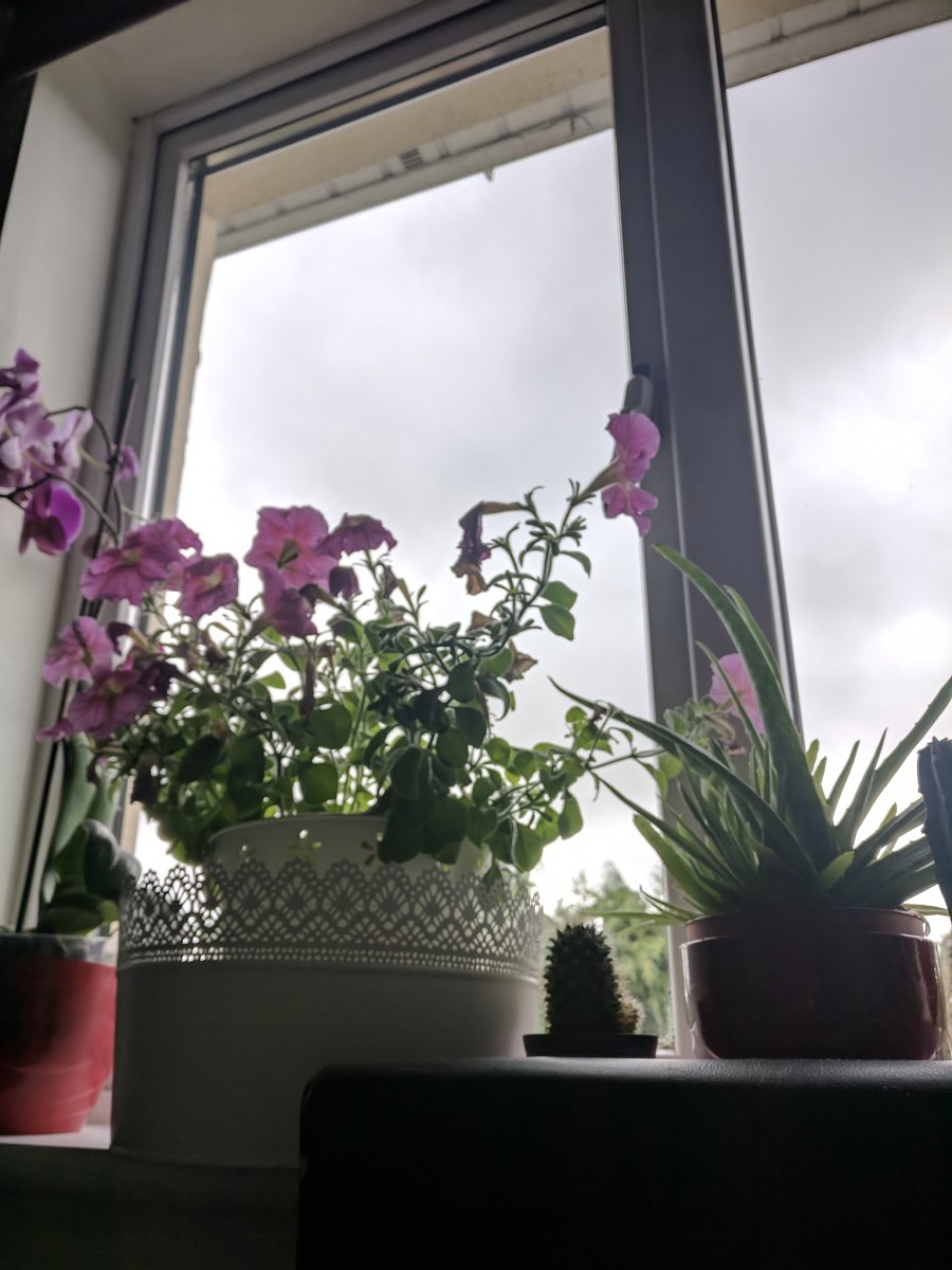 Install Google Camera With HDR+ Port On Your Snapdragon (820, 821, 835) Powered Android Device