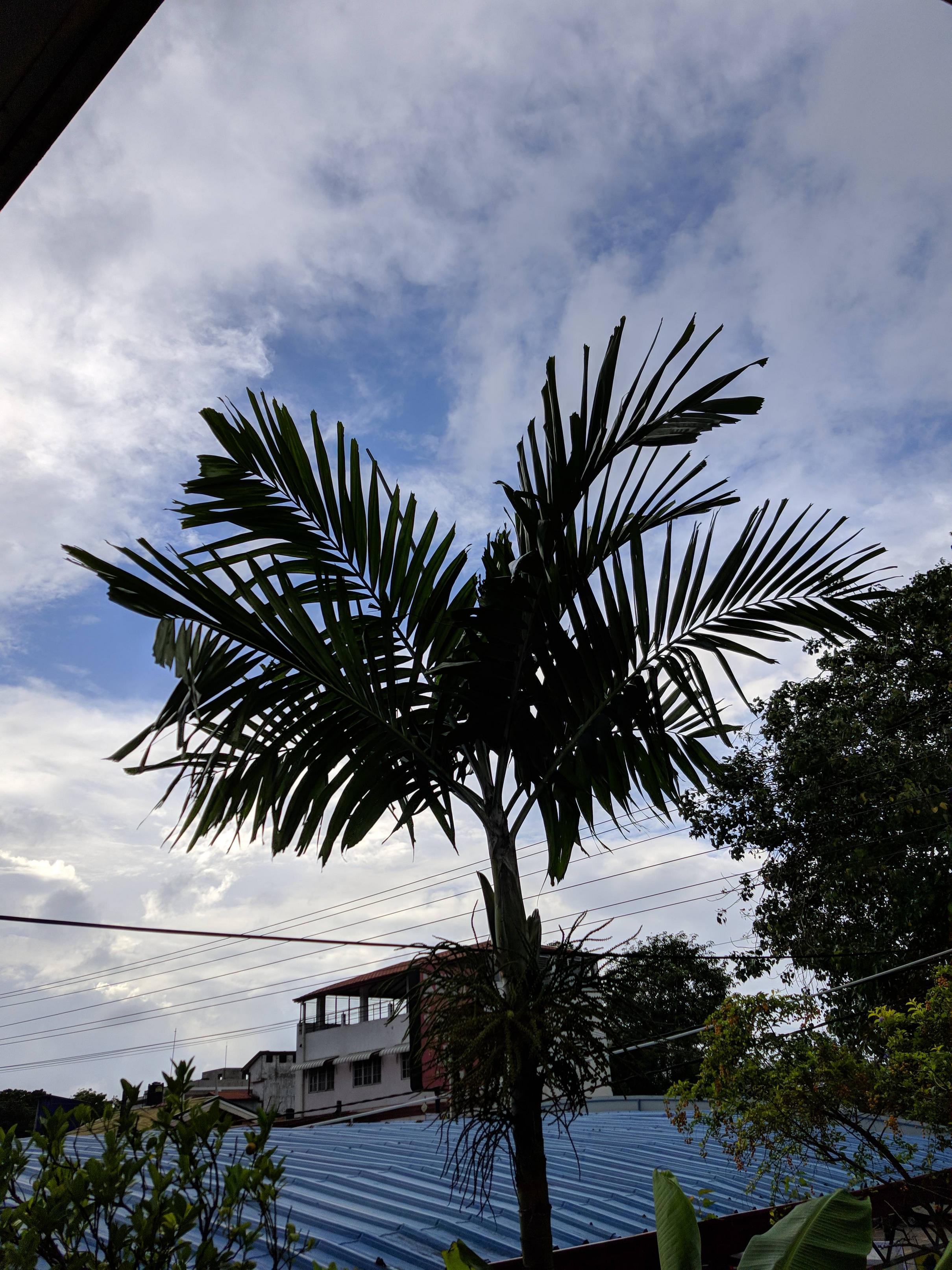 Google Camera 5.0 With HDR+ For Exynos Galaxy S7/S8/Note 8