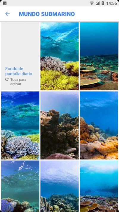 google photos app