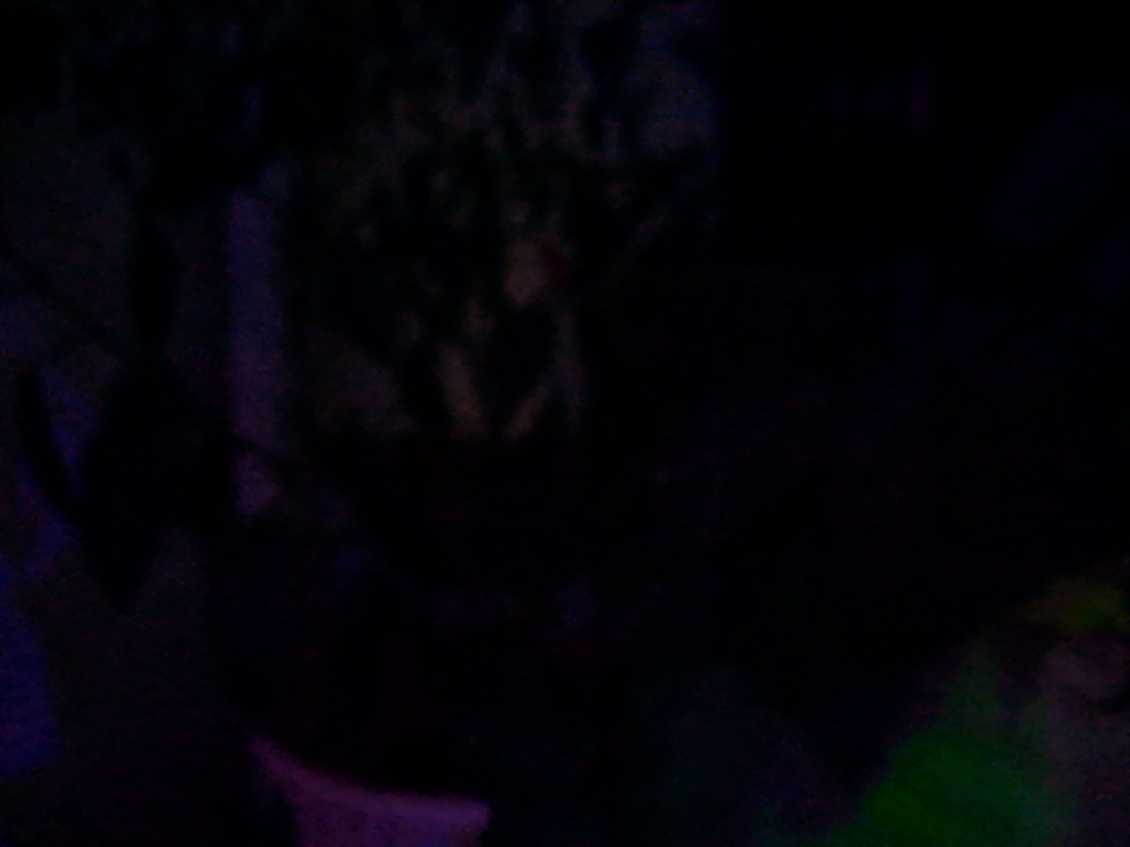 Night Sight Camera photos