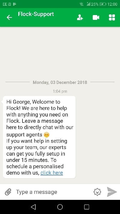 Flock chat app interface