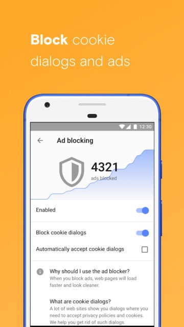Opera Browser beta