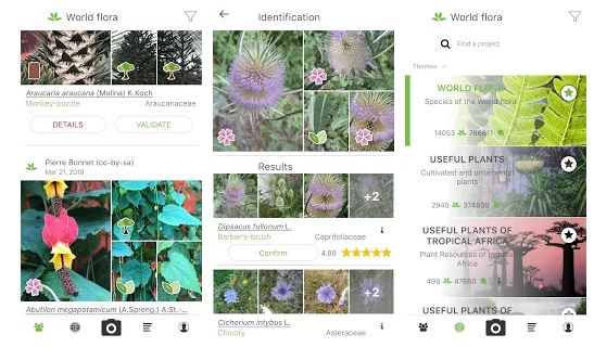 PlantNet Plant Image Recognition App