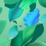 Nova 5 Pro wallpapers