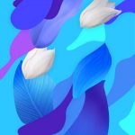 Nova 5 Pro wallpapers