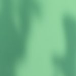 blur green 2 wallpaper