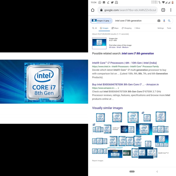 reverse image search results