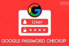 Google Password Checkup