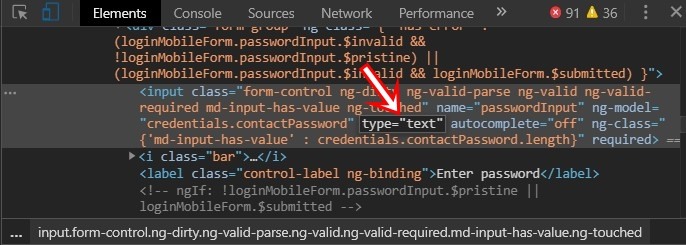 input type text