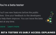 beta tester