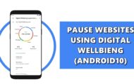 pause websites android 10