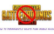 Delete PUBG Mobile Account