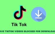 tiktok videos