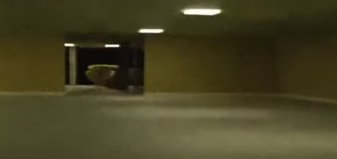 Backrooms Bone Thief
