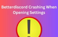 Betterdiscord Crashing When Opening Settings