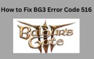 How to Fix BG3 Error Code 516