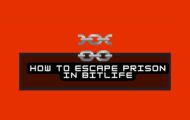 How to escape prison in Bitlife