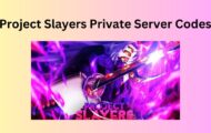 Project Slayers Private Server Codes